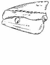 Figure on page 2 of the opinion