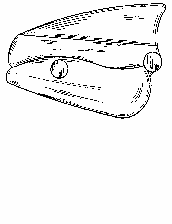 Figure on page 2 of the opinion