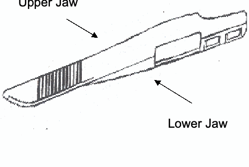Figure on page 6 of the opinion