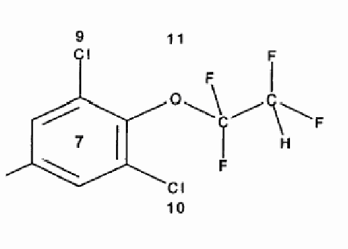 Figure on page 5 of the opinion