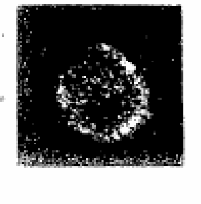 Figure on page 4 of the opinion