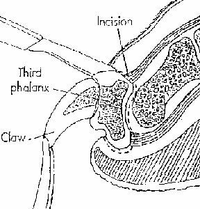 Figure on page 7 of the opinion