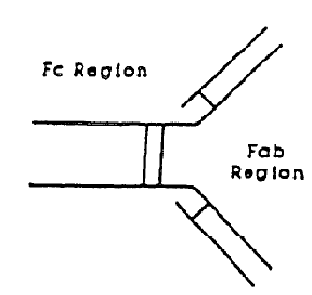 Figure on page 3 of the opinion