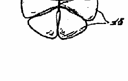 Figure on page 10 of the opinion