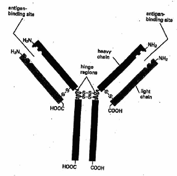 Figure on page 3 of the opinion