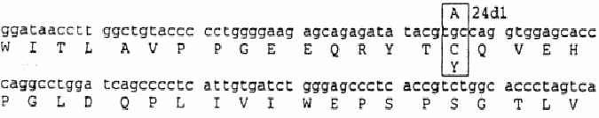 Figure on page 6 of the opinion