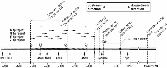 Figure on page 9 of the opinion