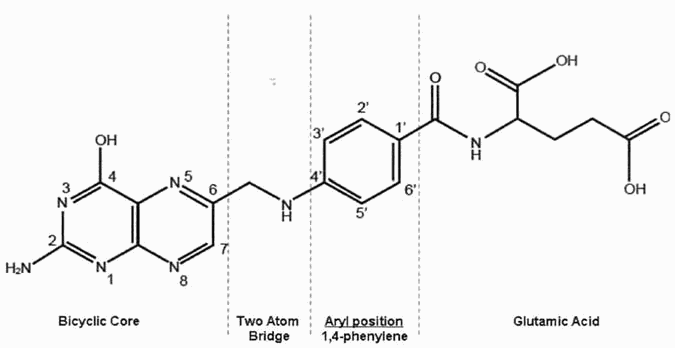 Figure on page 4 of the opinion