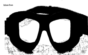 Figure on page 5 of the opinion