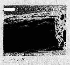 Figure on page 16 of the opinion